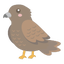 とんびあげ　懸賞せいかつのサムネイル