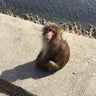 おかんちゃんのプロフィール