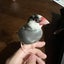 おネ～のサムネイル
