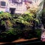 Dn8tのサムネイル
