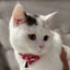 KAOﾙﾝﾙﾝ♪のサムネイル