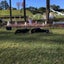 @さーのサムネイル