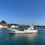 画像 三重県　伊勢志摩釣り船　トンジギ　キャスティング　ジギング　敏司丸のユーザープロフィール画像