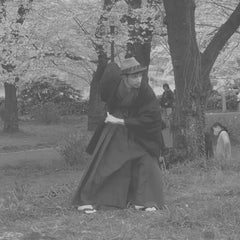 Ibn_Miriam若しくはボルのプロフィール