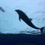 ノガワのサムネイル