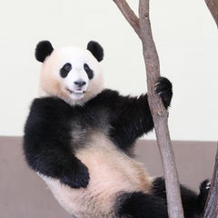 hanaのプロフィール