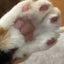 みやみやのサムネイル