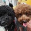 moka&rosyのサムネイル
