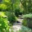 画像 ガーデンの中にある「garden cafe＆レンタルスペースだきみょうが」のブログのユーザープロフィール画像