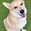 osumusoのサムネイル