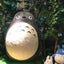 なむのサムネイル