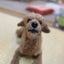 ぷーたろーさんばのサムネイル