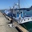 釣り船　有希丸のサムネイル