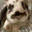 はるるんまきまきのサムネイル