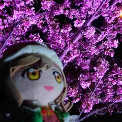 まつのプロフィール