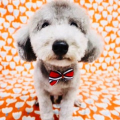 KOTA♡MAMAのプロフィール