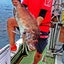 画像 ただぼー会長の釣りパラダイスのユーザープロフィール画像