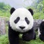 パン太郎のサムネイル