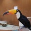 ウォル🌙のサムネイル