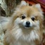 tacchannのサムネイル
