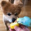 はぴはぴ(HappiHappi)のサムネイル