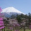 画像 富士北麓つれづれにのユーザープロフィール画像