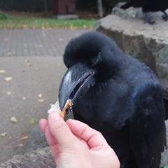 ナオのプロフィール
