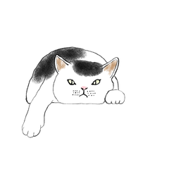 neco thankyouのプロフィール