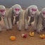 BBメイソンのサムネイル