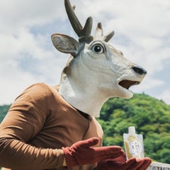 バンビーノ藤田のプロフィール