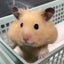 めいのサムネイル