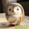 Forestのプロフィール