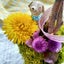 画像 花教室たんぽぽ～栃木県那須塩原市～のユーザープロフィール画像
