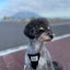 rieta5486のサムネイル