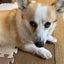 sutaco0309のサムネイル