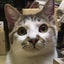 ともやんのサムネイル