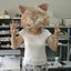 花猫のサムネイル