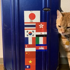 旅するコピーライターのふじやんのプロフィール