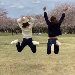 毒魔女館長のプロフィール
