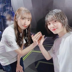 律のプロフィール