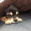 ふうたのサムネイル