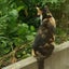 さとわのサムネイル