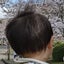 トリーのサムネイル
