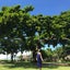 aloha_nene_akikoのサムネイル