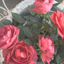 roseamethyst7sのサムネイル