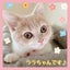 ララちゃんのサムネイル