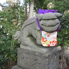 かもちゃんがゆく！のプロフィール
