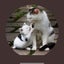 denskitchen0417のサムネイル