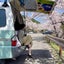 きなこのサムネイル