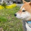 ナオのサムネイル